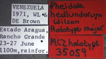 Media type: image; Entomology 35059   Aspect: labels